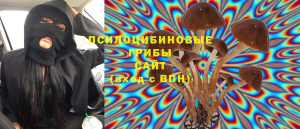марихуана Абаза