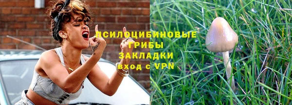 твердый Абинск