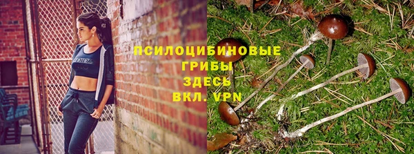 марихуана Абаза