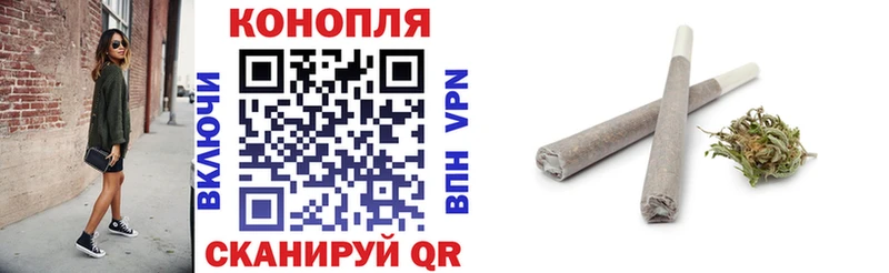 Конопля сатива  хочу наркоту  Россошь 